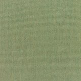 Canvas Fern 5487-0000