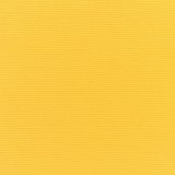 Canvas Sunflower Yellow 5457-000
